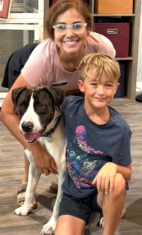 Aspen Papo Goofy Cutie - Photo 1