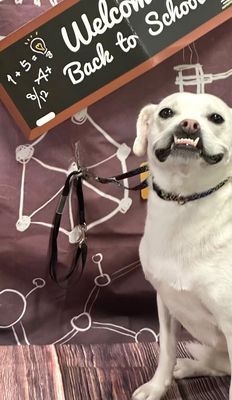 Jojo Jellybean the Sweetest Girl with the Best Smile thumbnail 1