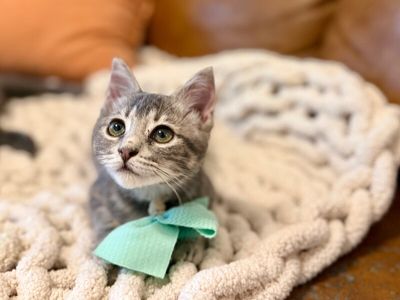 Kip Cozy Heart thumbnail 2