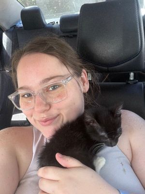 Poe Purrkins Little Lovebug thumbnail 14