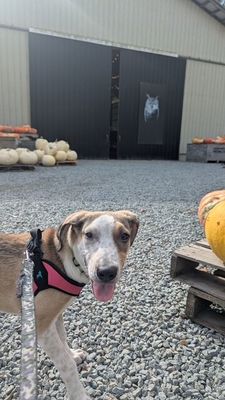 Tanner Too Cute thumbnail 11