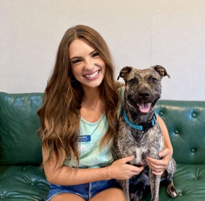 Wren Wonderful the Brindle Cuddle Bug thumbnail 2