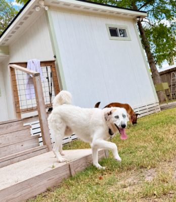 Ollie Goose Freckles Face Cutie thumbnail 15