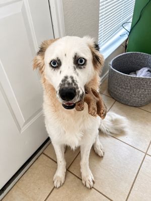 Ollie Goose Freckles Face Cutie thumbnail 13