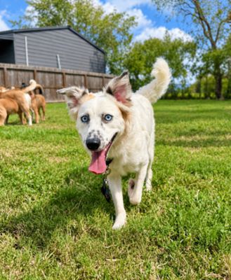 Ollie Goose Freckles Face Cutie thumbnail 6