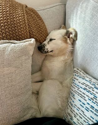 Ollie Goose Freckles Face Cutie thumbnail 10