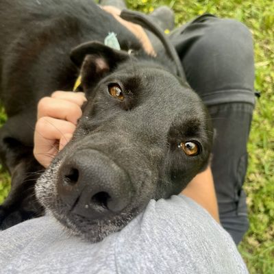 Ruscus Rigatoni 9668 thumbnail 4