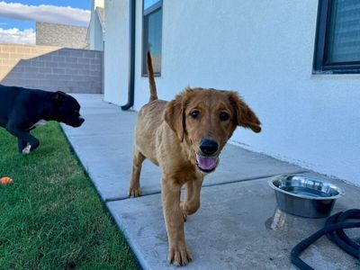 Bonnie Golden Hour Girl thumbnail 7