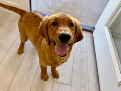 Bonnie Golden Hour Girl thumbnail 12