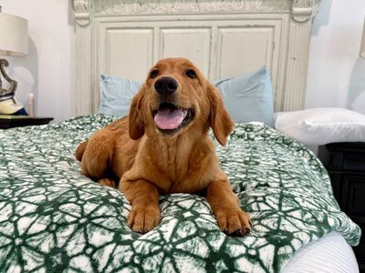 Bonnie Golden Hour Girl thumbnail 9