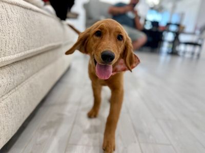 Bonnie Golden Hour Girl thumbnail 8