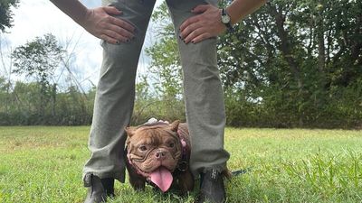 Donna Daisy Chain thumbnail 9