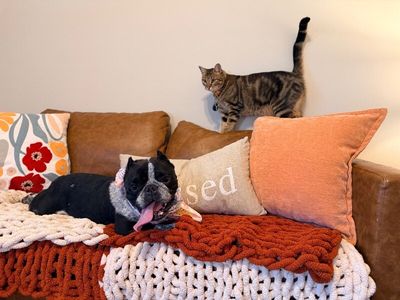 Lona Goody Shortcakes thumbnail 7