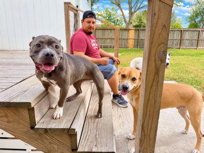 Nena Belle Gentle Brown Eyed Beauty thumbnail 9