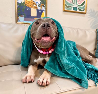 Nena Belle Gentle Brown Eyed Beauty thumbnail 4