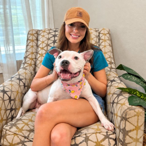 Winnie Love Tiny Pittie Wigglebutt, a Pit Bull Terrier dog