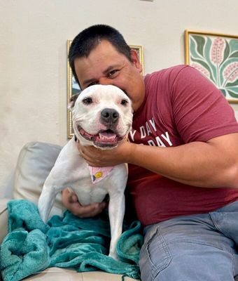 Winnie Love Tiny Pittie Wigglebutt thumbnail 10