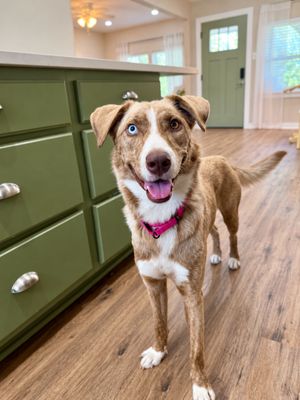 Stella bella Pretty Happy Girl thumbnail 4