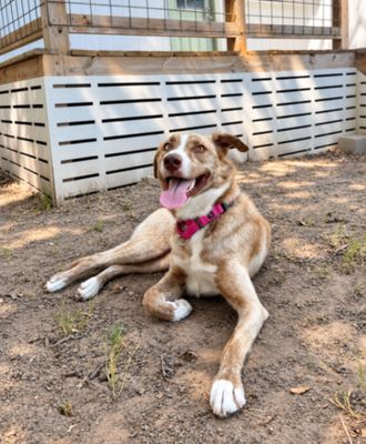 Stella bella Pretty Happy Girl thumbnail 12