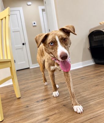 Stella bella Pretty Happy Girl thumbnail 9