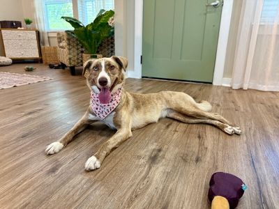 Stella bella Pretty Happy Girl thumbnail 7