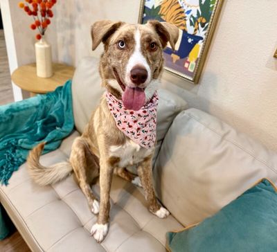Stella bella Pretty Happy Girl thumbnail 13