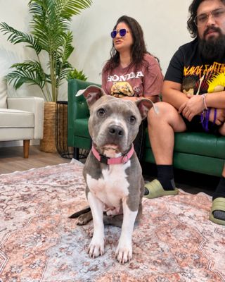Siri Sue Itty Bitty Sweet Girl thumbnail 2