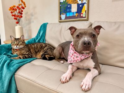 Siri Sue Itty Bitty Sweet Girl thumbnail 1
