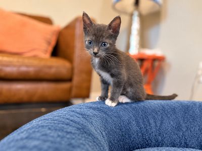 Paco Blue Jeans thumbnail 10