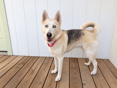 Missy Blue-tiful thumbnail 4