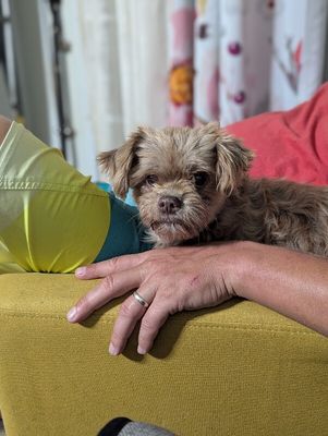 Lily Loo thumbnail 7