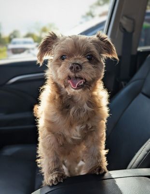 Lily Loo thumbnail 9