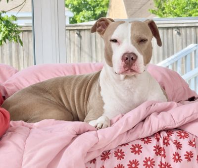 Eva Backyard Bliss thumbnail 1