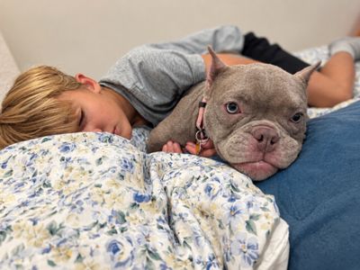 Lilly the Kiddo Cuddlebug thumbnail 3