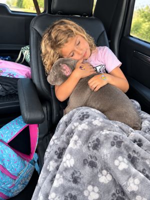 Lilly the Kiddo Cuddlebug thumbnail 6