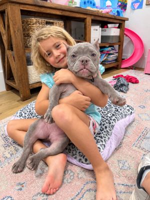 Lilly the Kiddo Cuddlebug thumbnail 5