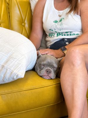 Lilly the Kiddo Cuddlebug thumbnail 4