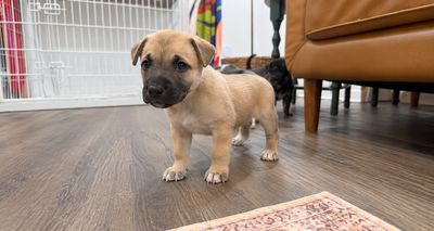Mars The Cutest Cosmonaut thumbnail 1