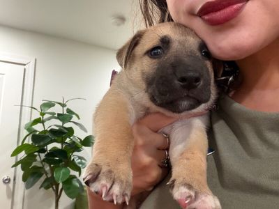 Mars The Cutest Cosmonaut thumbnail 2