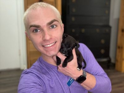 Alex P Keaton thumbnail 3