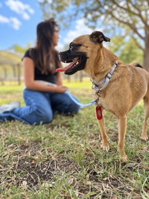 Pickles Pupperoni Hollywood thumbnail 7
