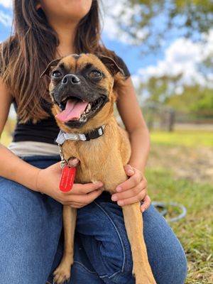 Pickles Pupperoni Hollywood thumbnail 8