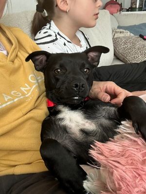 Minnie Winnie thumbnail 2