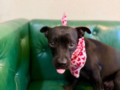 Minnie Winnie thumbnail 1