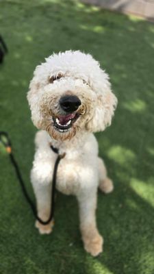 Arlo the Happy Little Spunk thumbnail 4