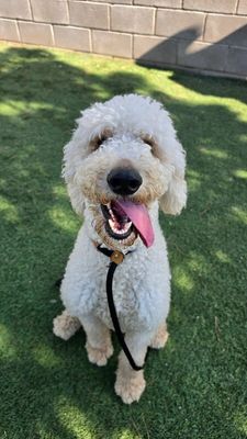 Arlo the Happy Little Spunk thumbnail 5