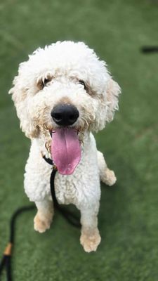 Arlo the Happy Little Spunk thumbnail 1