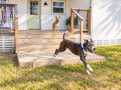 Roxy Roo Betsie Blue thumbnail 4