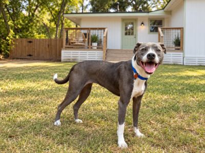 Roxy Roo Betsie Blue thumbnail 1