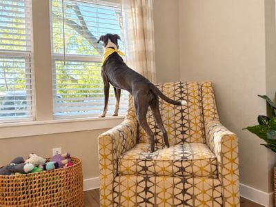 Roxy Roo Betsie Blue thumbnail 6